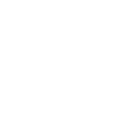 Smartphone icon