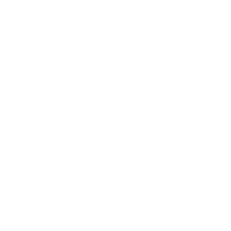 Wedding dress icon